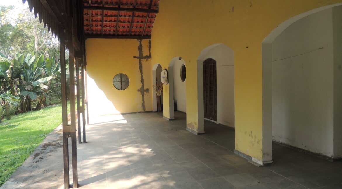 DSCN6793