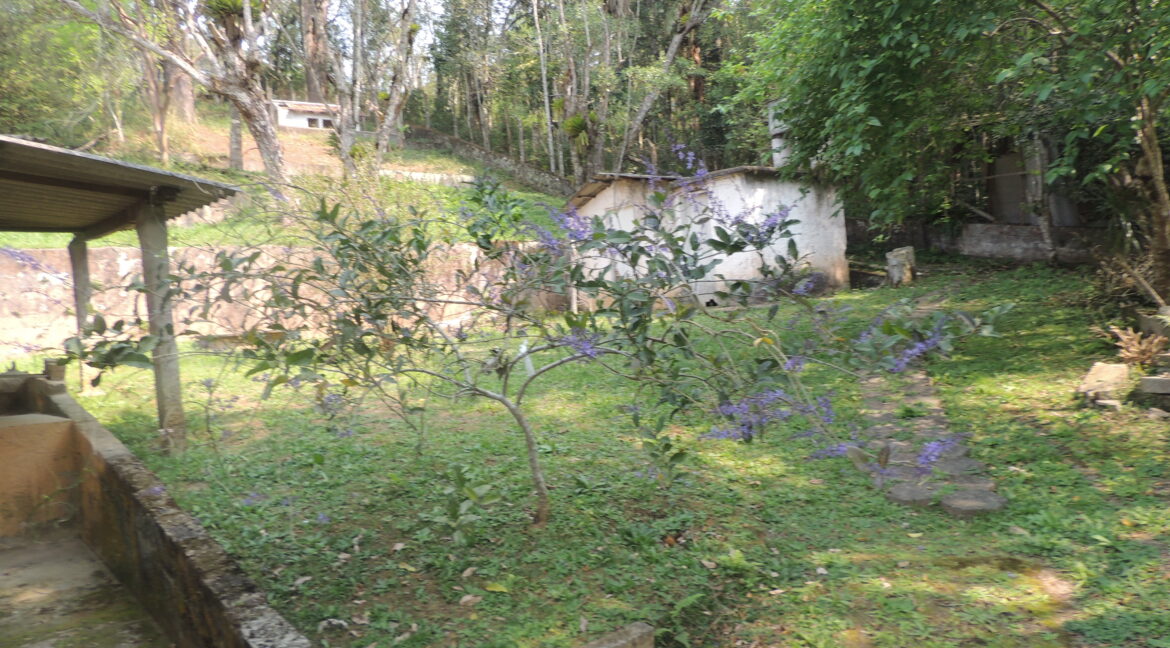 DSCN6796